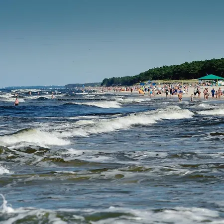 Wrzosowa Polana - Letniskowe *